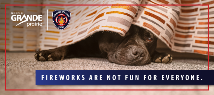 Dog hiding under a bed from firework sound
