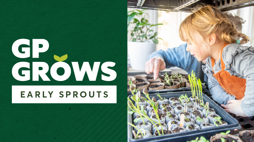 GP Grows: Early Sprouts Web Banner Graphic