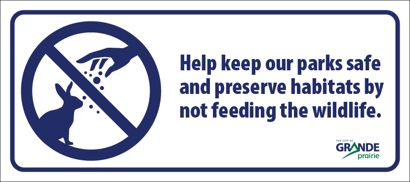 Help keep our parks safe and preserve habitats by not feeding the wildlife.